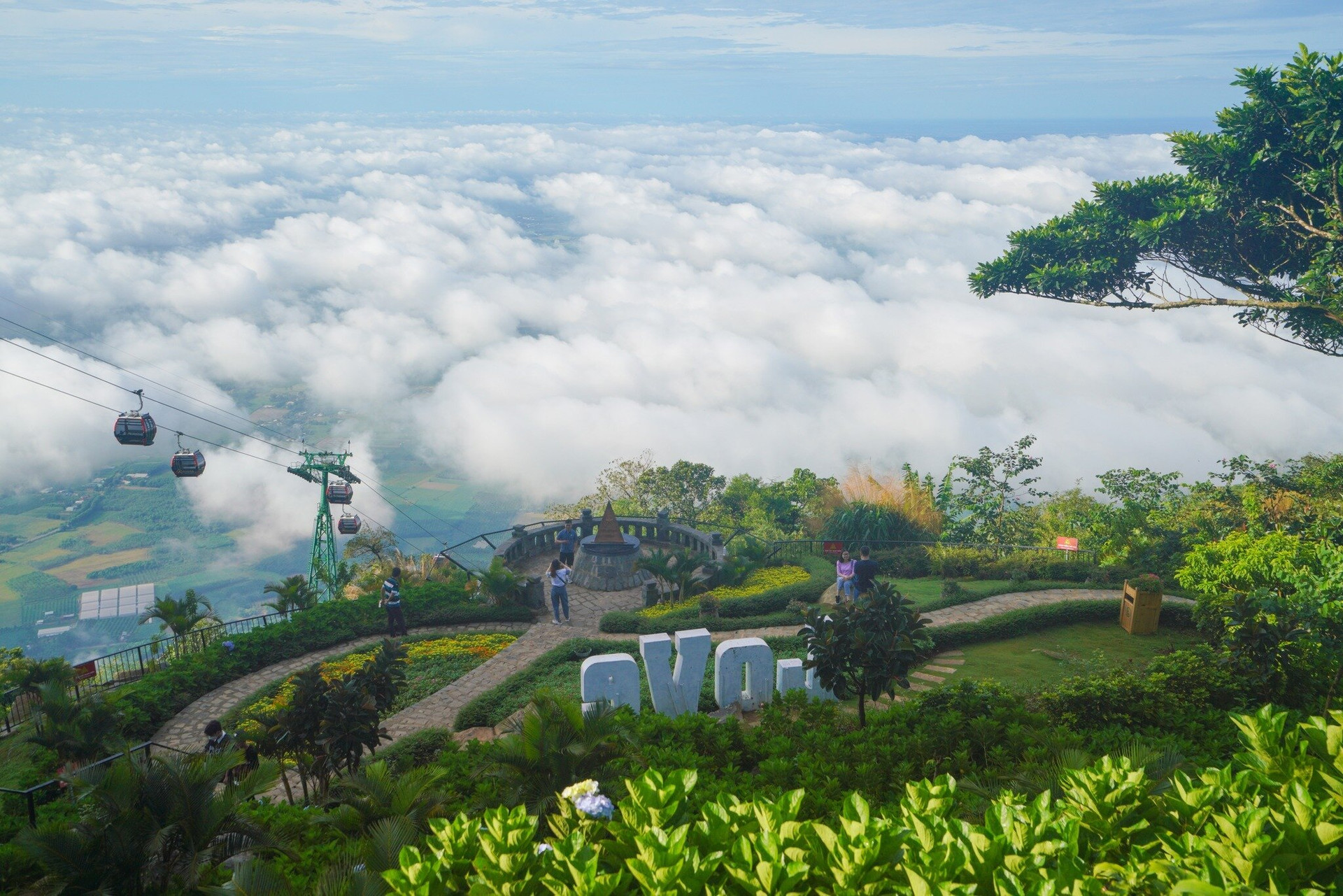 巴山での雲探し。