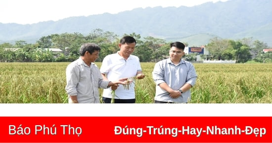 “Nâng sao” cho sản phẩm OCOP