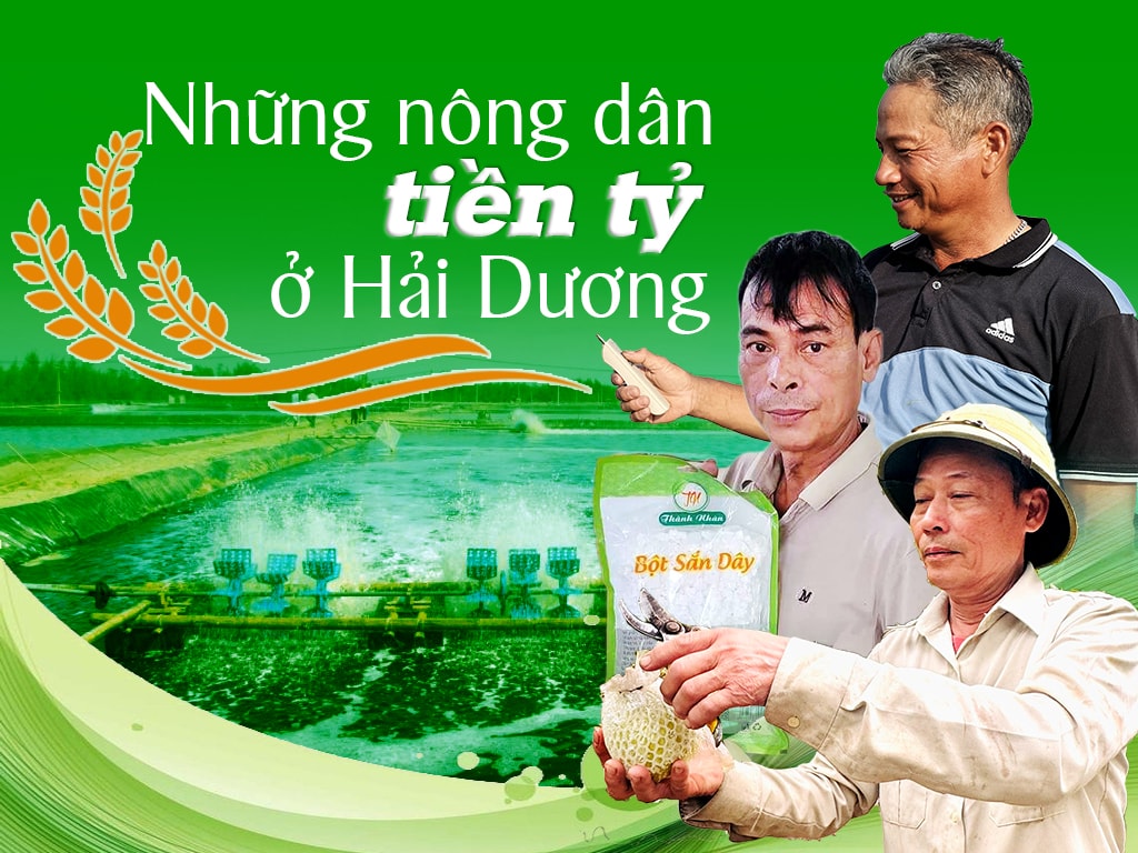 Những nông dân tiền tỷ ở Hải Dương