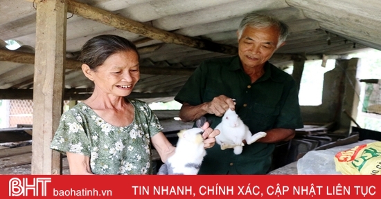 Phát huy “chất lính” trong làm kinh tế vườn đồi ở huyện miền núi Hà Tĩnh