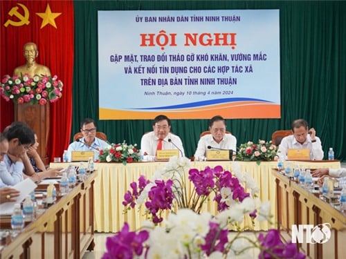 Hội nghị tháo gỡ khó khăn và kết nối tín dụng cho các hợp tác xã trên địa bàn tỉnh