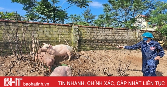 Chủ tịch UBND tỉnh ra công điện về phòng, chống dịch bệnh gia súc, gia cầm