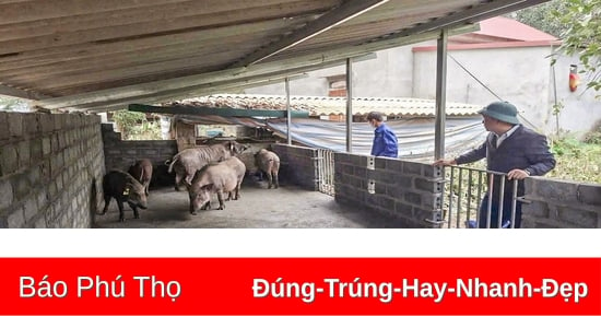 Trao con giống hỗ trợ sinh kế cho hộ nghèo