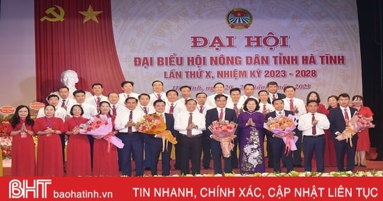 Création de l'Association des agriculteurs de Ha Tinh « Solidarité - Coopération - Innovation »