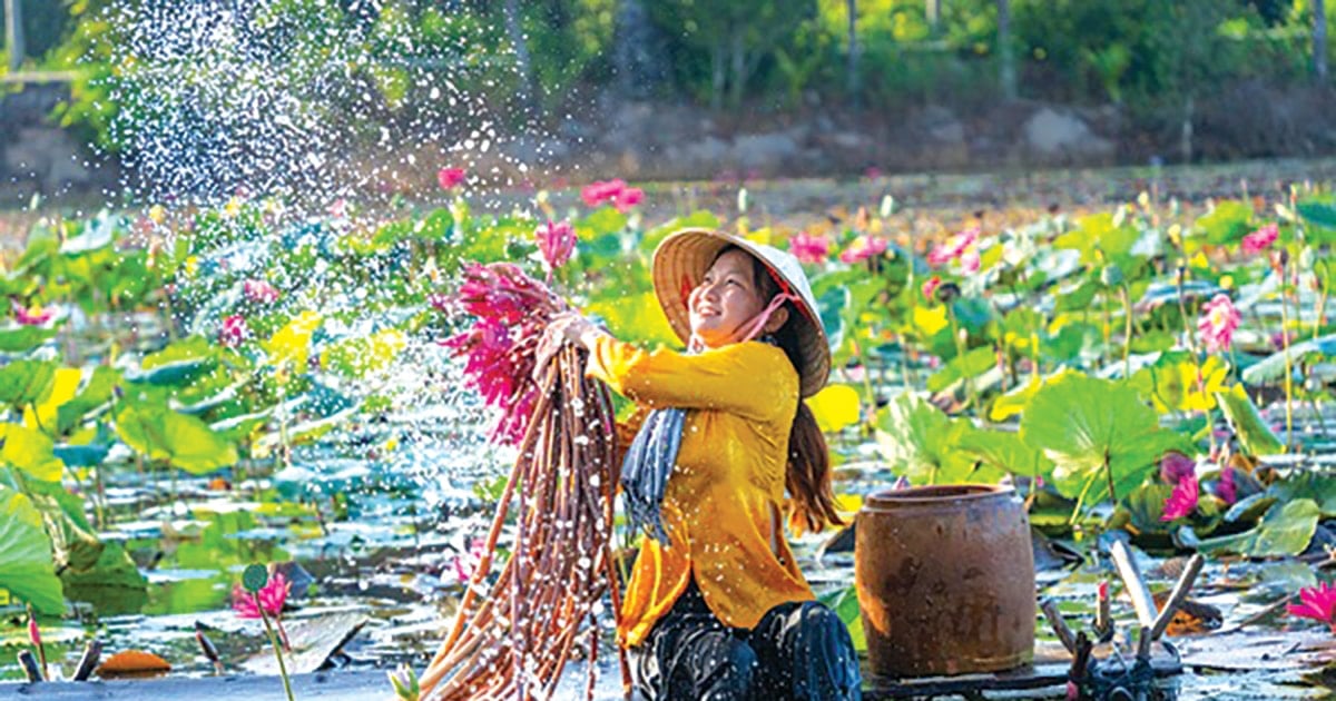 潮は穏やかで、蓮の花はひっくり返っています。