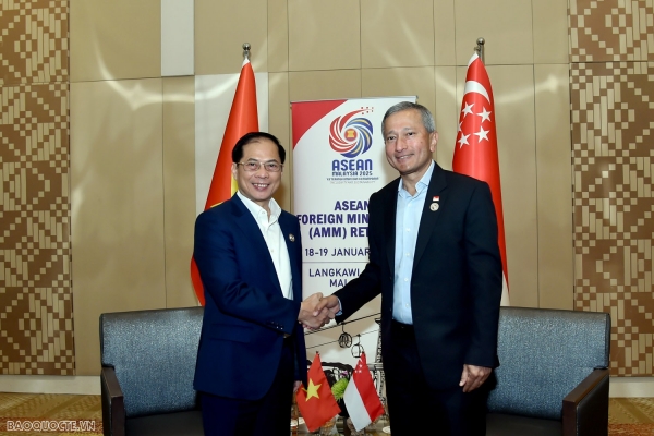 Deputy Prime Minister and Minister of Foreign Affairs Bui Thanh Son received Singaporean Foreign Minister Vivian Balakrishnan