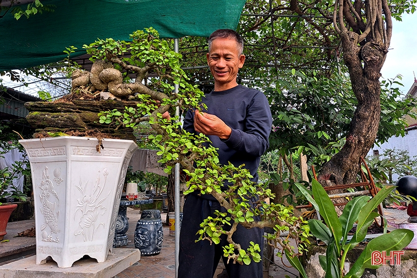 Explora el jardín de bonsáis de mil millones de dólares en Nghi Xuan