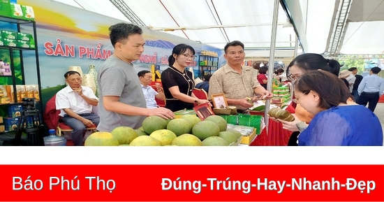 Nâng cao giá trị nông sản qua xúc tiến thương mại