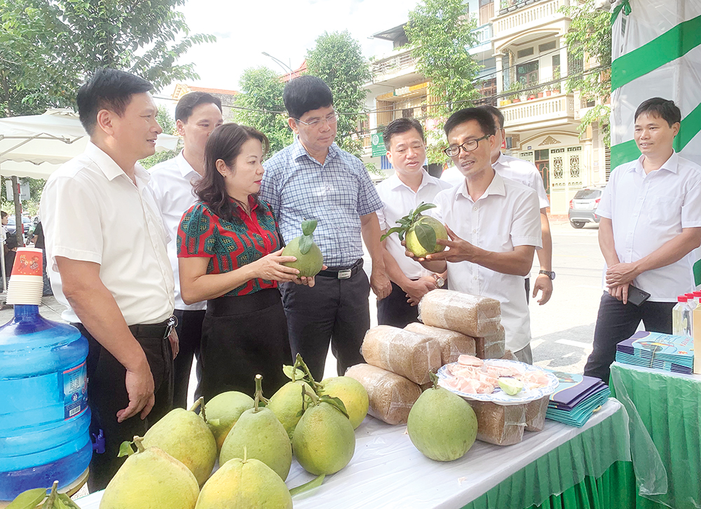 Nâng cao hiệu quả hoạt động Hội Nông dân các cấp