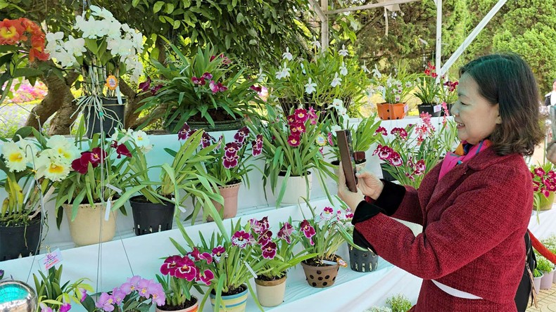 Street flower spaces at Da Lat Flower Festival officially opened photo 1
