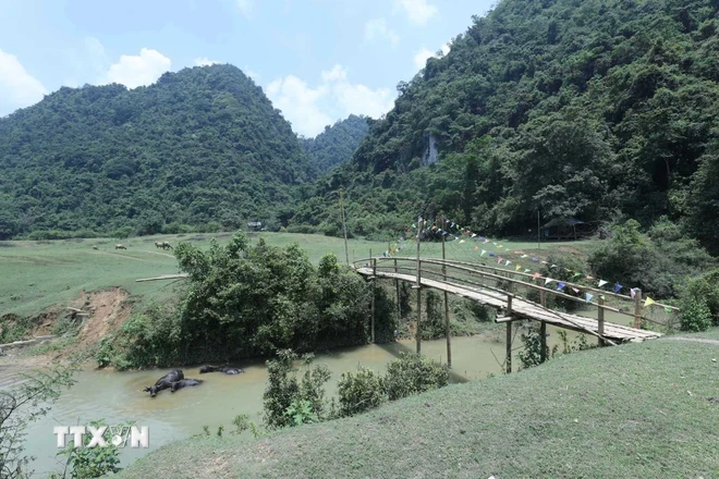Hermoso paisaje poético a lo largo del arroyo que cruza la verde pradera de Dong Lam. (Foto: Anh Tuan/VNA)