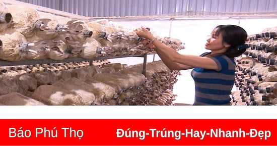 Tăng thu nhập cho người dân