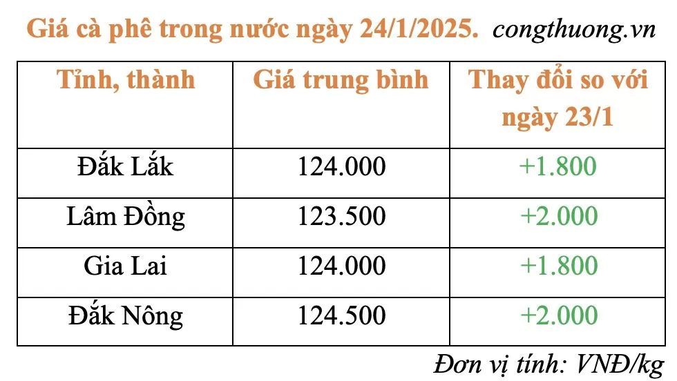 Giá cà phê trong nước hôm nay 24/1/2025 tăng 1.900 đồng/kg