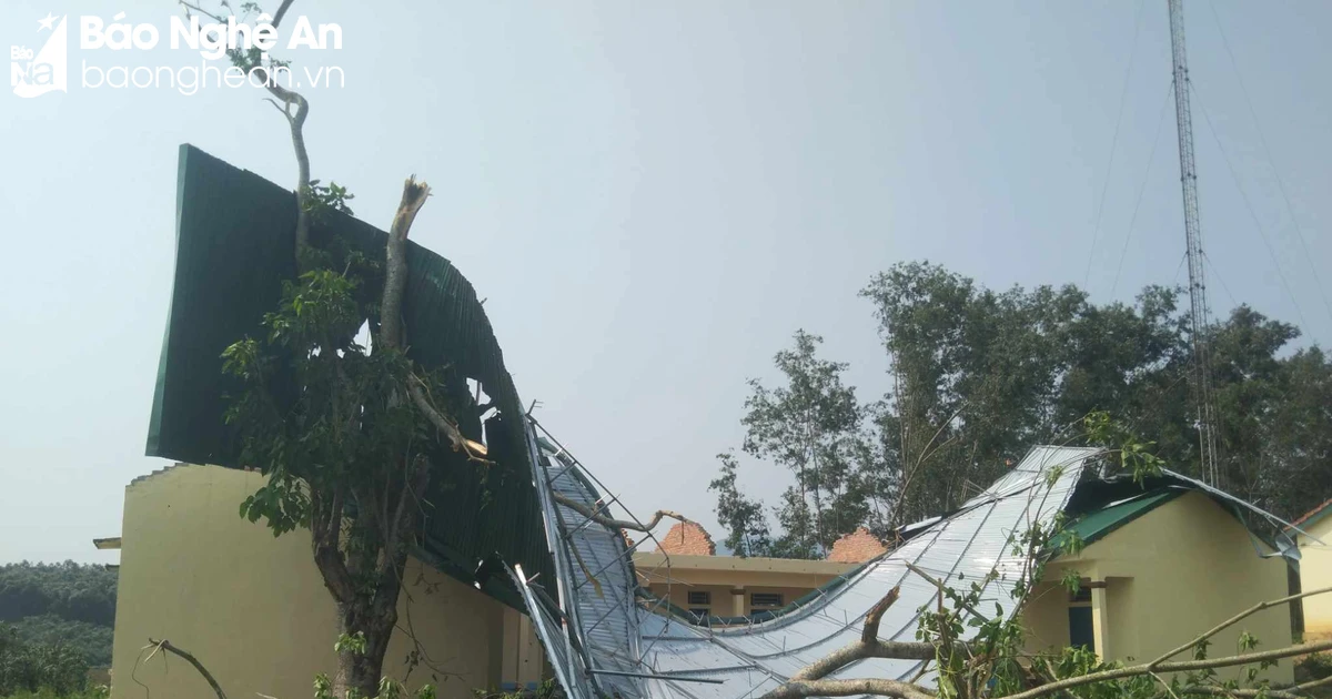 Ein Tornado riss das komplette Wellblechdach einer Schule im Umsiedlungsgebiet weg.