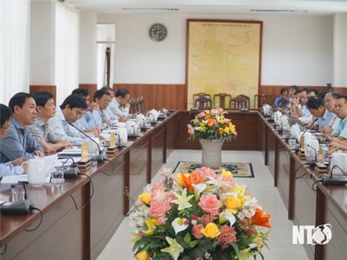 The Provincial People's Committee works with Vietnam Electricity Group on the implementation of projects in the province.