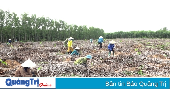 Vinh Linh améliore la qualité des activités des coopératives agricoles