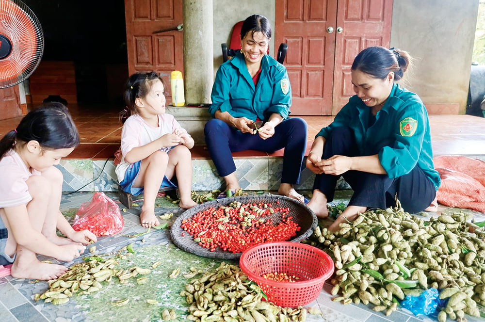 Mùa dổi chín