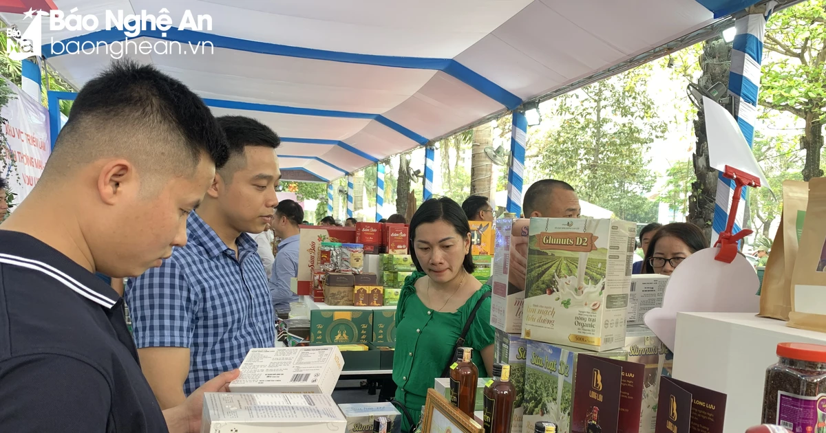 Nghe An has 504 products achieving OCOP star