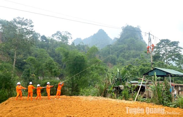 Công ty Điện lực Tuyên Quang nỗ lực đảm bảo an toàn điện, tiết kiệm điện