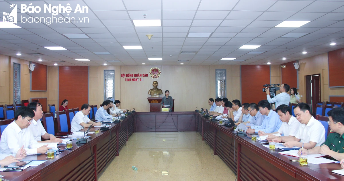 Presenting a plan to allocate more than 800 billion VND to serve the socio-economic development of ethnic minority and mountainous areas in Nghe An