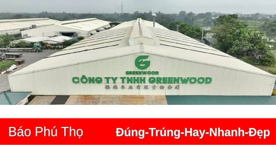 GREENWOOD Company Limited was fined 140 million VND for environmental protection.