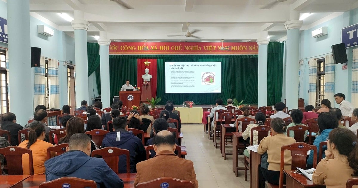 Hoi An trains in management and use of trade and service trademarks