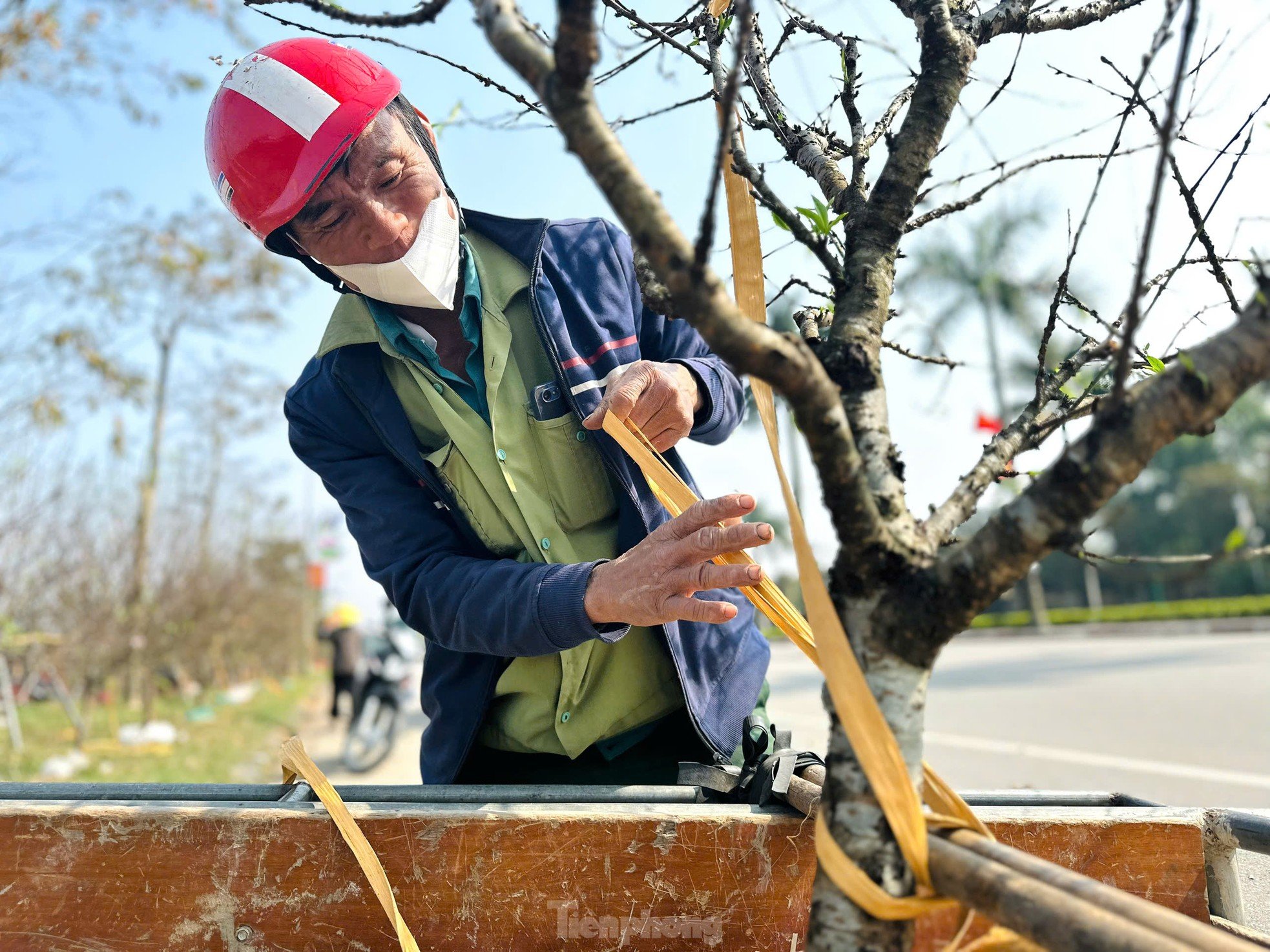 The job of 'carrying Tet' to every home earns millions every day photo 3