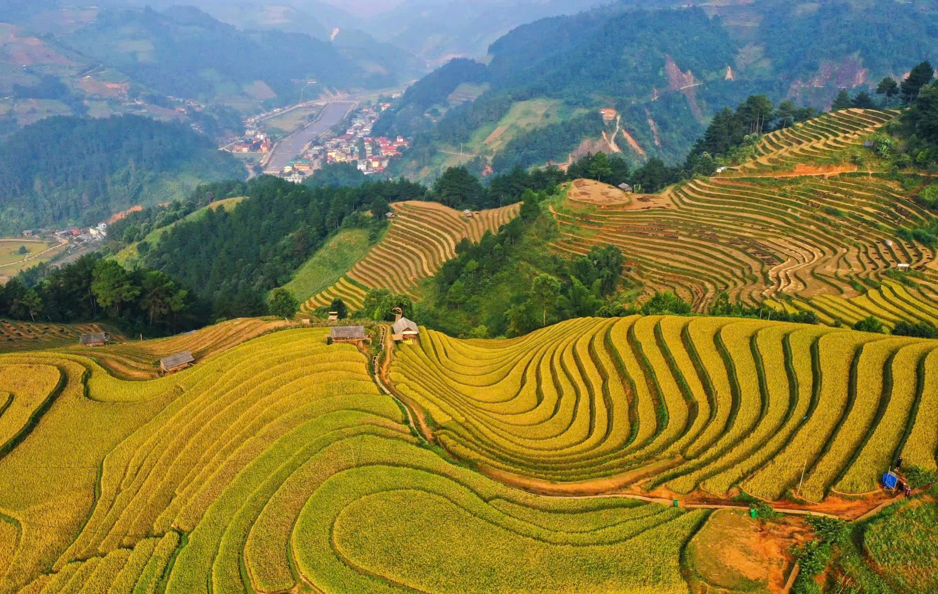 Mùa vàng trên những thửa ruộng bậc thang ở Mù Cang Chải - 5