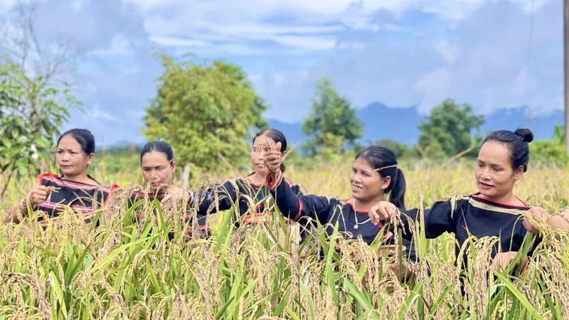 Illustrative photo. (Source: Dai Doan Ket Newspaper)