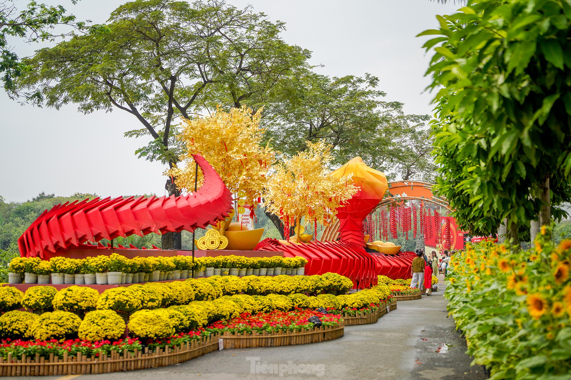 ホーチミン市の「裕福なエリア」にある旧正月の花通りにチェックインするために群がる若者たち、写真2