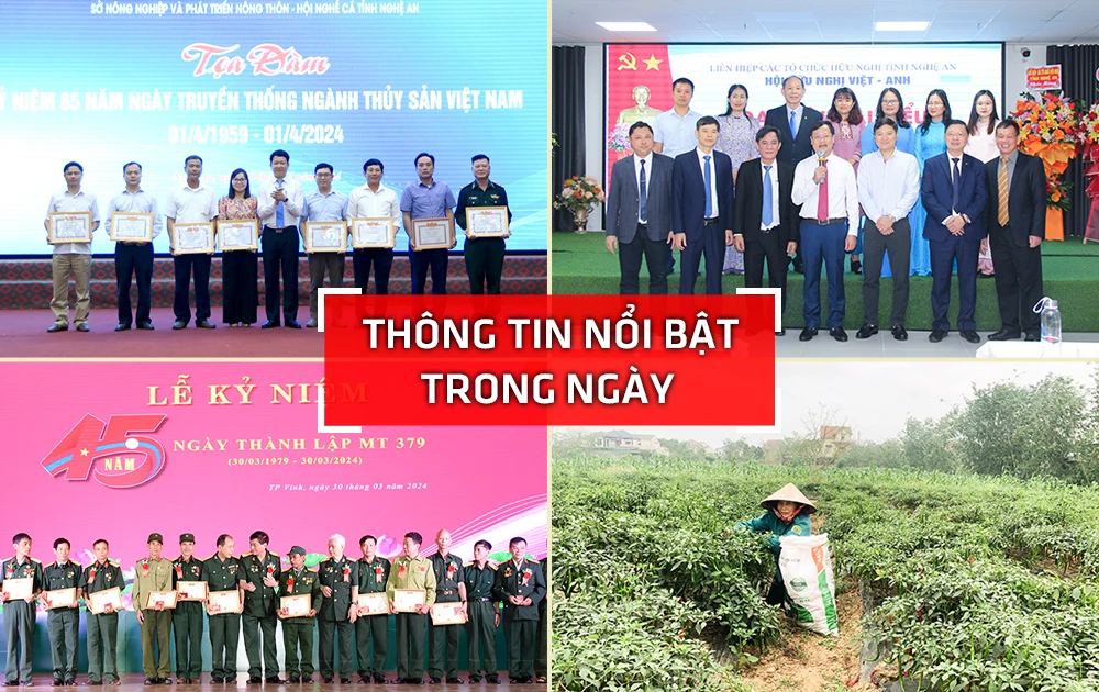 Nghe An៖ ហាយឡាយថ្ងៃទី ៣០ មីនា