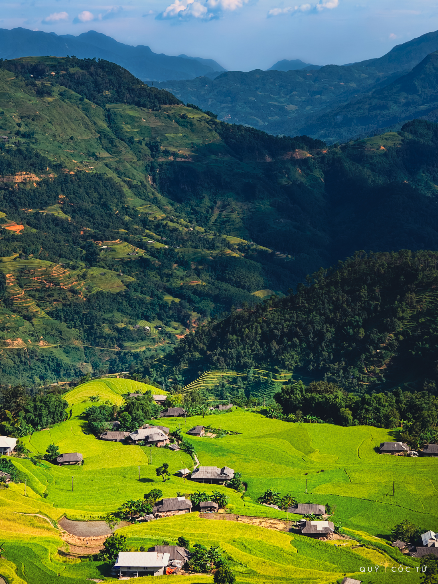 Das Dorf Phung ist während der Reisreifesaison so schön wie ein riesiges Tuschegemälde. Die Terrassenfelder erstrecken sich endlos, schlängeln sich den Berghang entlang und sind mit einer schimmernden goldenen Farbe bedeckt. Der Reis ist reif und voller schwerer Körner, sein Duft verbreitet sich im ganzen Raum und vermischt sich mit der kühlen Brise der Berge und Wälder des Nordwestens.