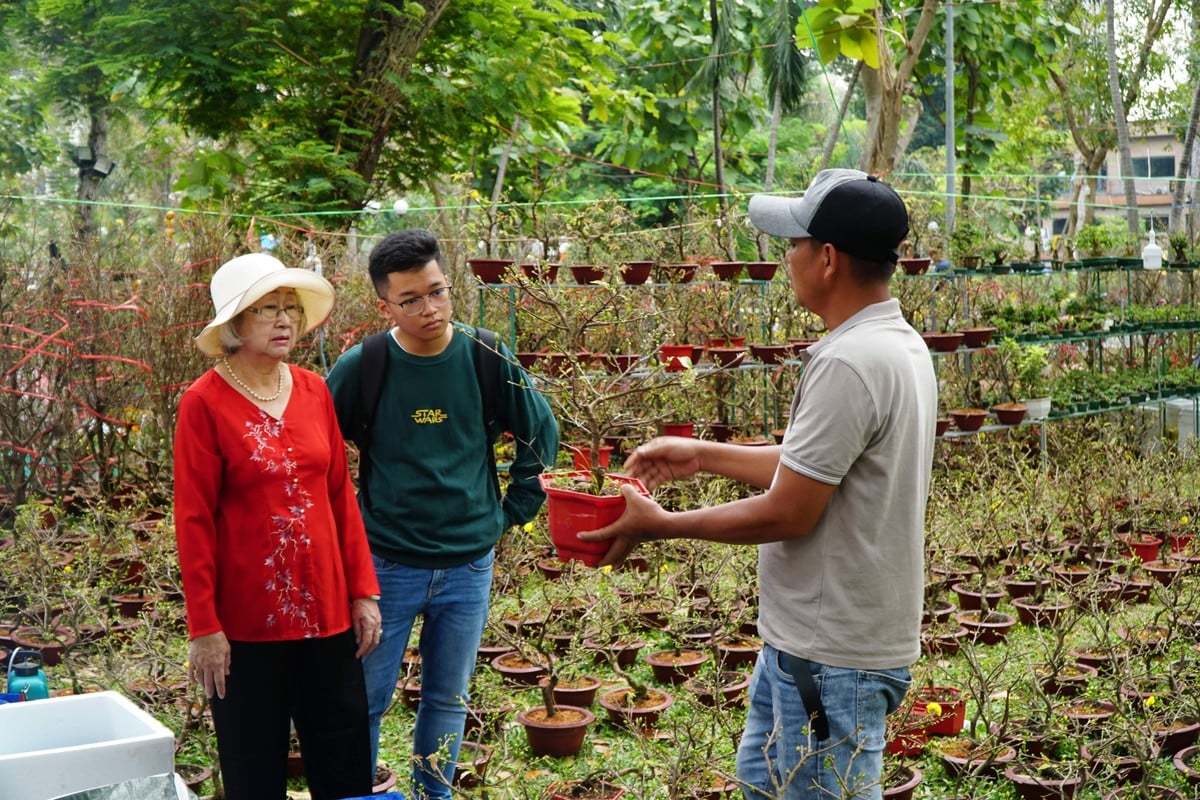 El antiguo melocotonero Son La, cuyo valor es de casi 100 millones de dólares, atrae a clientes en la ciudad de Ho Chi Minh foto 10