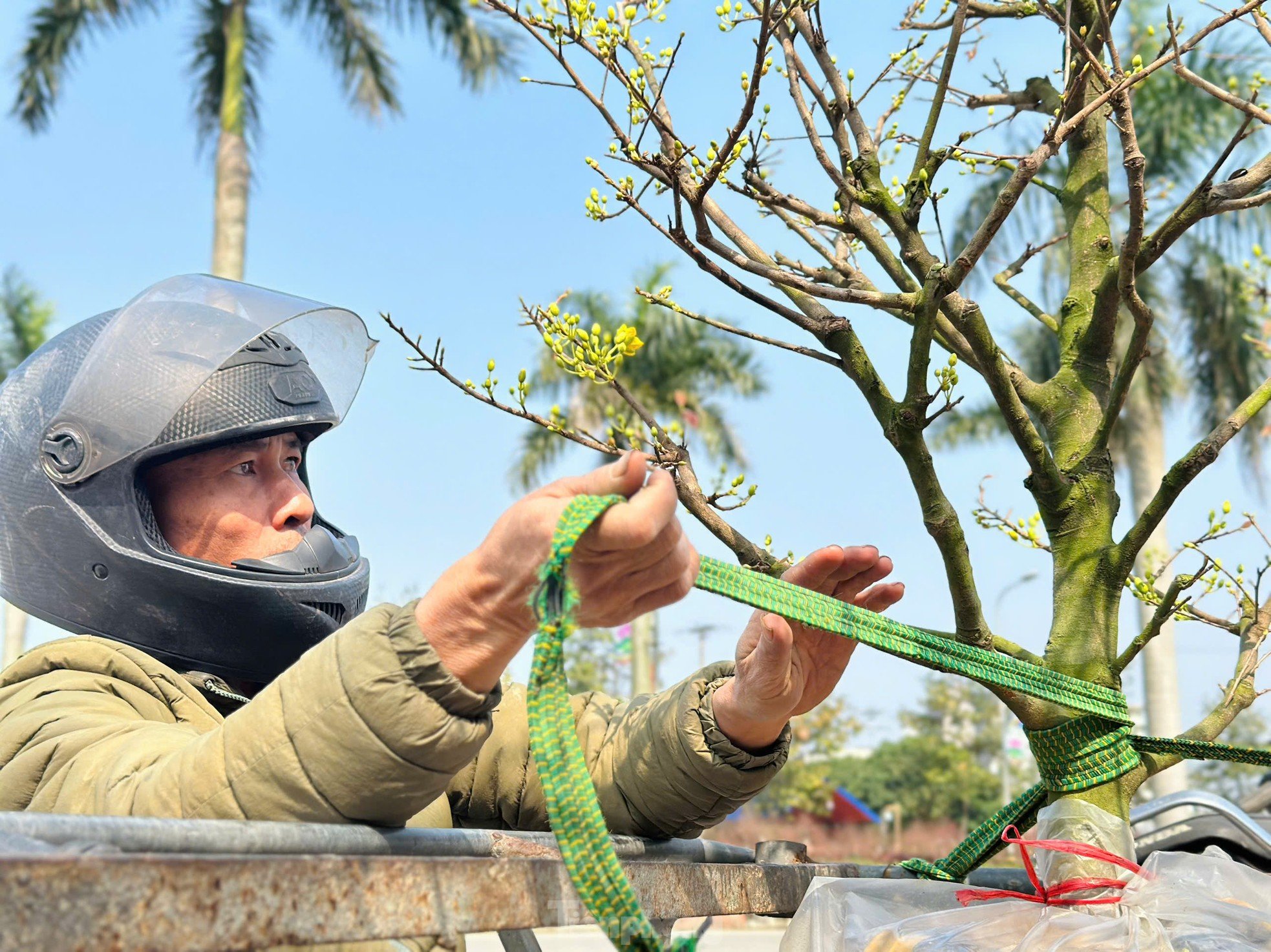 The job of 'carrying Tet' to every home earns millions every day photo 10