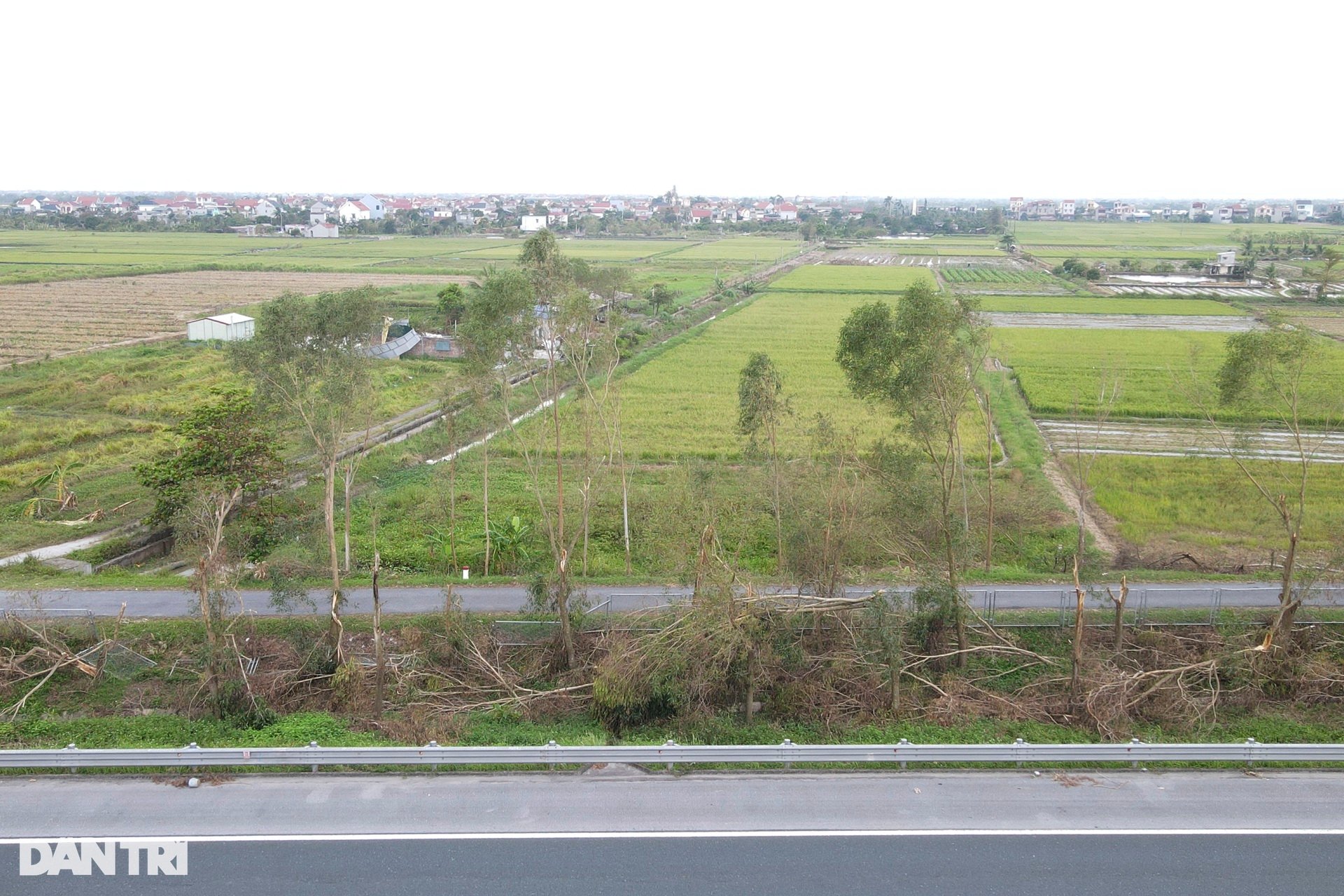 41.000 cây xanh dọc tuyến cao tốc Hà Nội - Hải Phòng gãy đổ do bão Yagi - 2