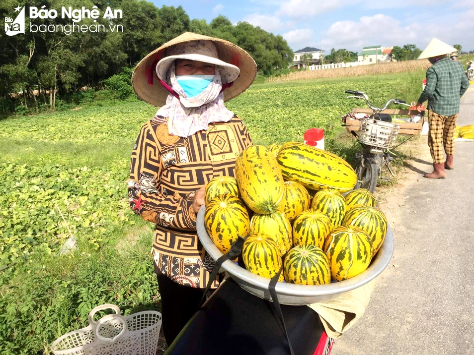 bna_dưa nứt.jpg