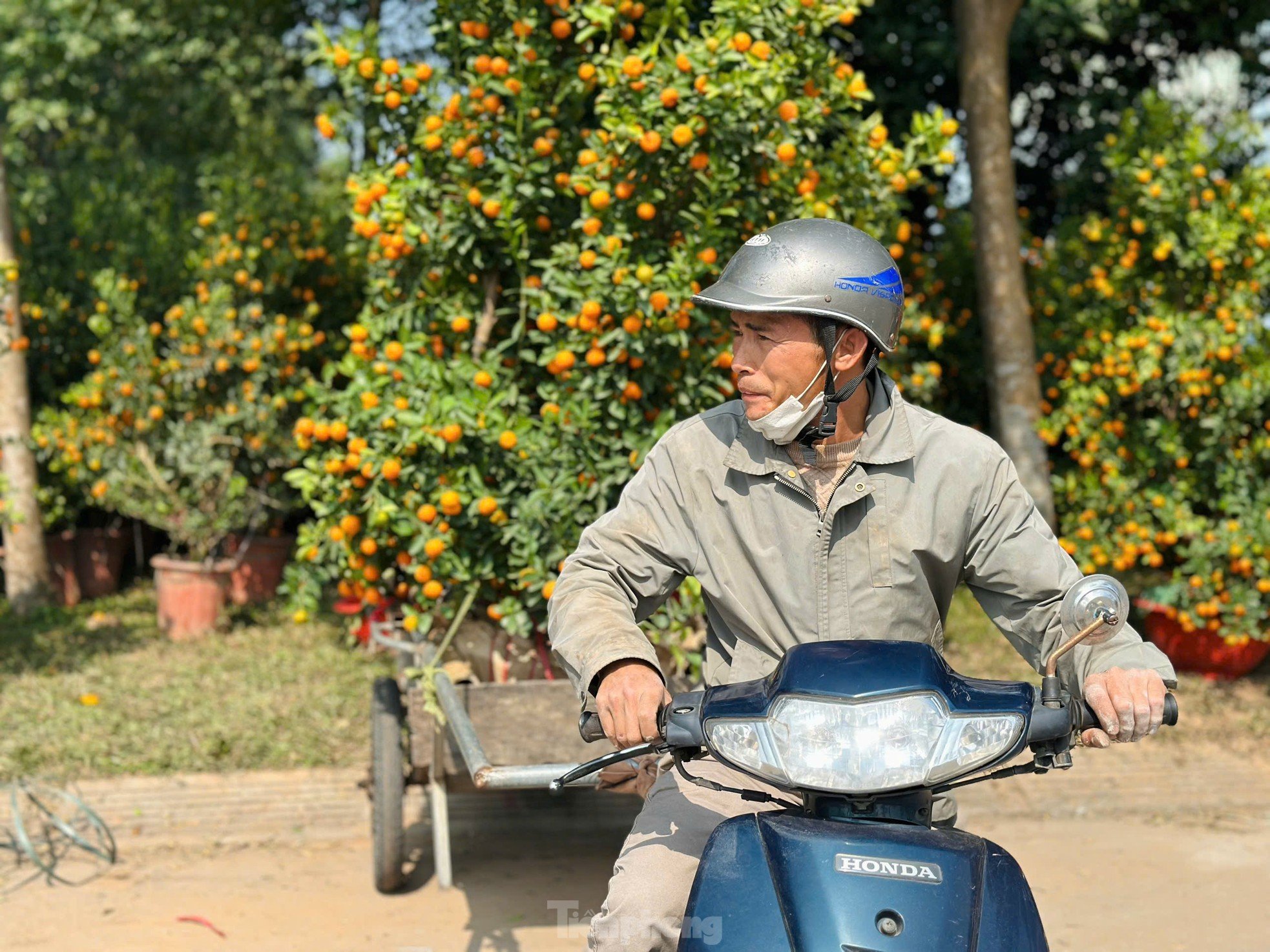 The profession of 'carrying Tet' to every home earns millions every day photo 8