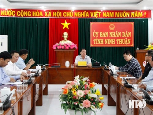 Provincial People's Committee held a meeting to remove difficulties and obstacles for Thien Tan 1.4 Solar Power Project and Sushi Shrimp Processing Factory