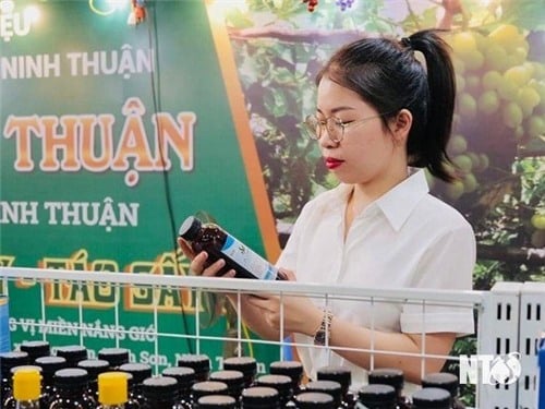 Plataforma de comercio electrónico de Ninh Thuan: Es necesario mejorarla para aumentar el poder adquisitivo