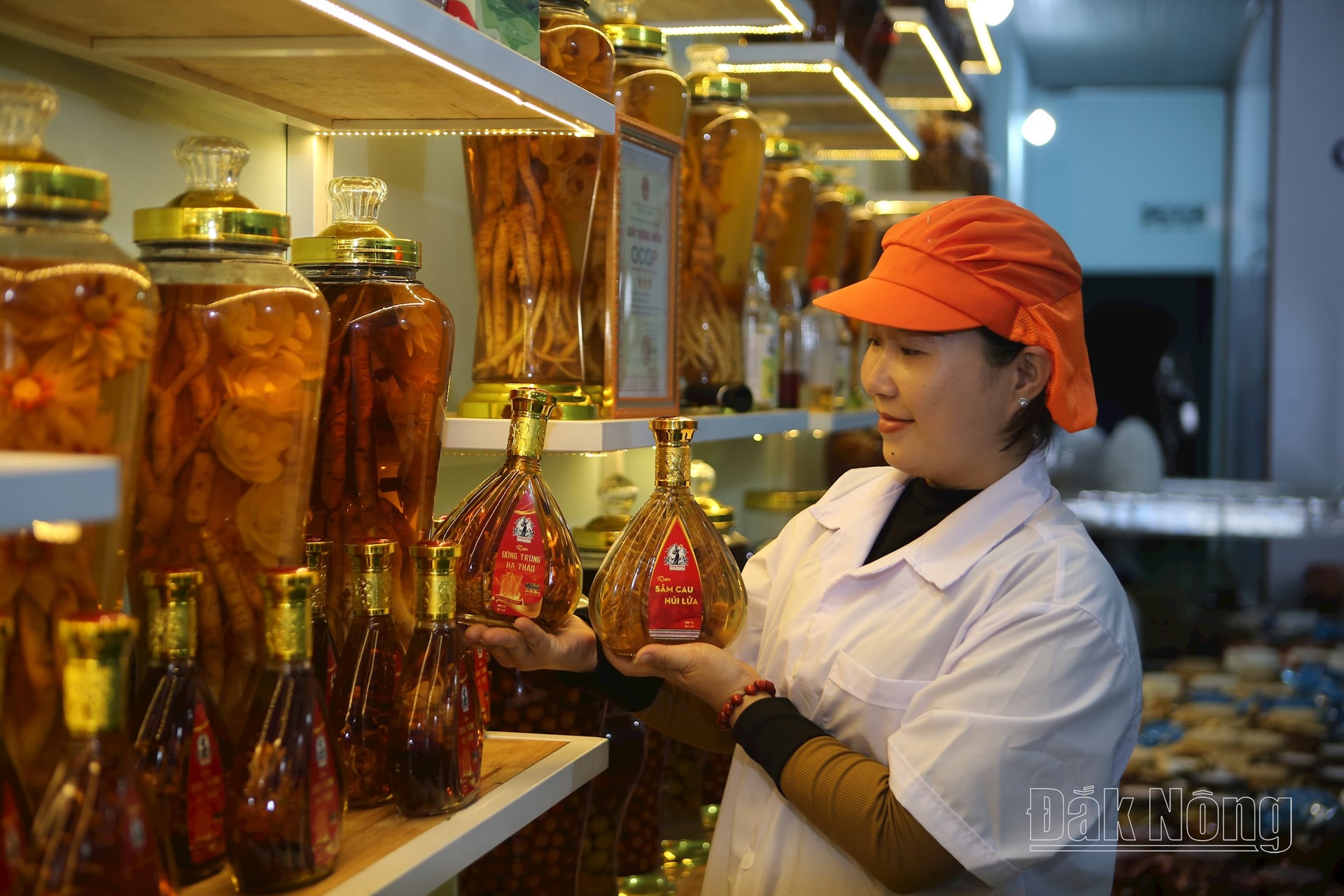 Leng Gung Company Limited, Stadt. Gia Nghia produziert viele Weinsorten mit den Eigenschaften von Dak Nong, um den Tet-Markt in diesem Jahr zu bedienen.