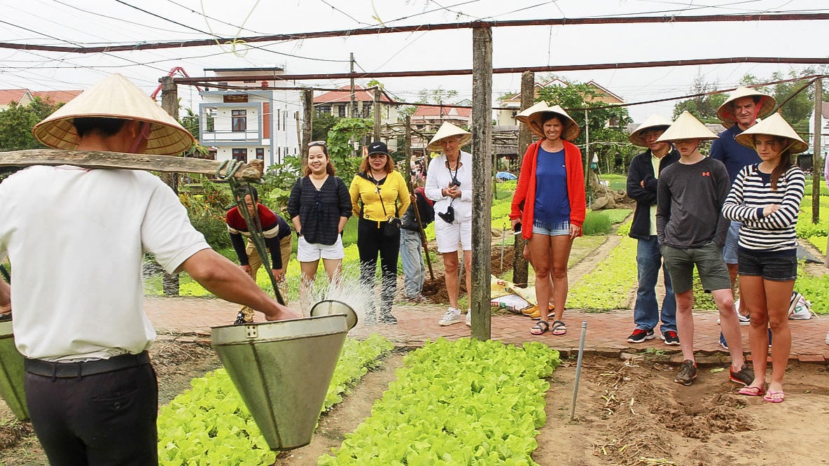 Tourists visit Tra Que vegetable village