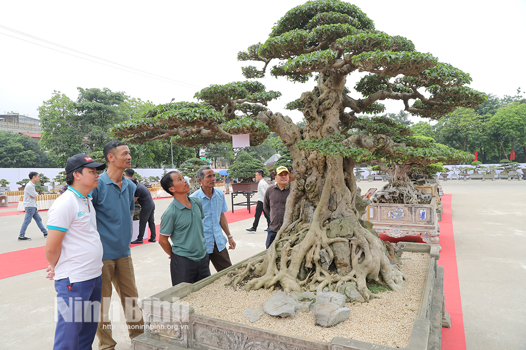 Inauguración de la Exposición de Plantas Ornamentales de las provincias de la región del Delta del Río Rojo en 2024