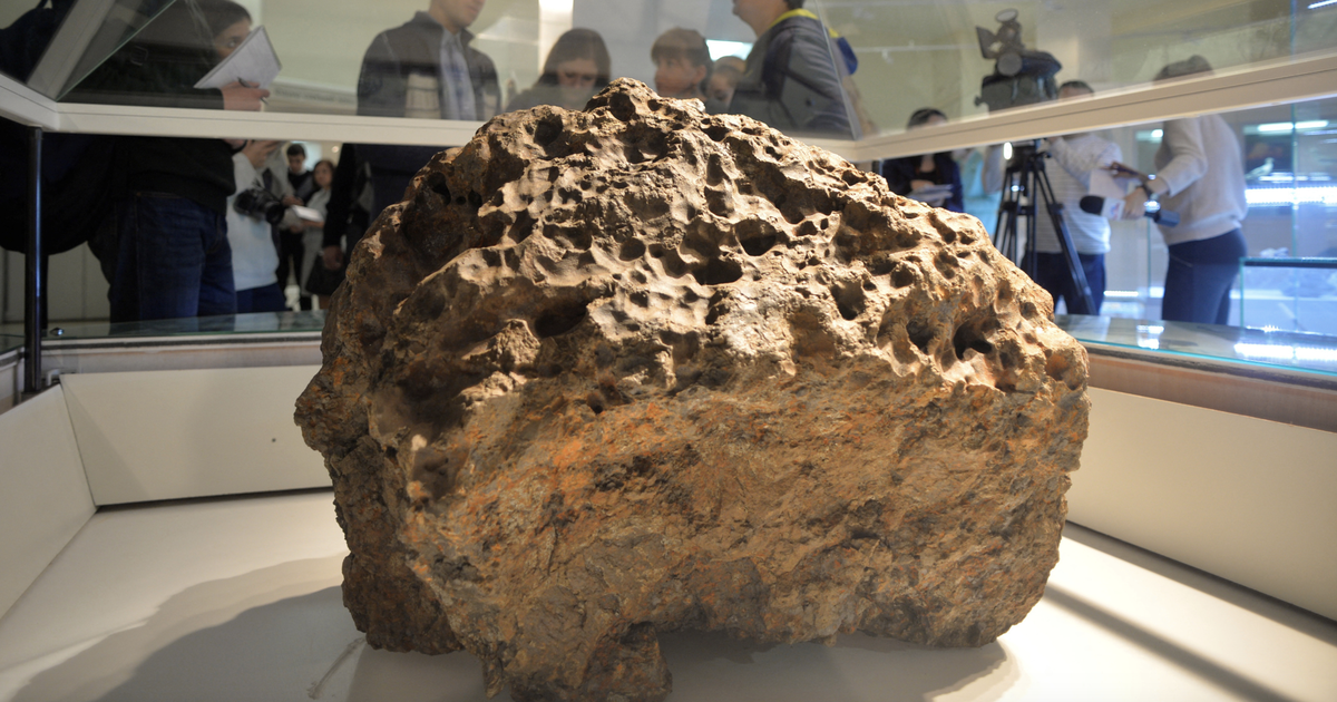 Did an ancient meteorite 4 times larger than Mount Everest bring life to Earth?