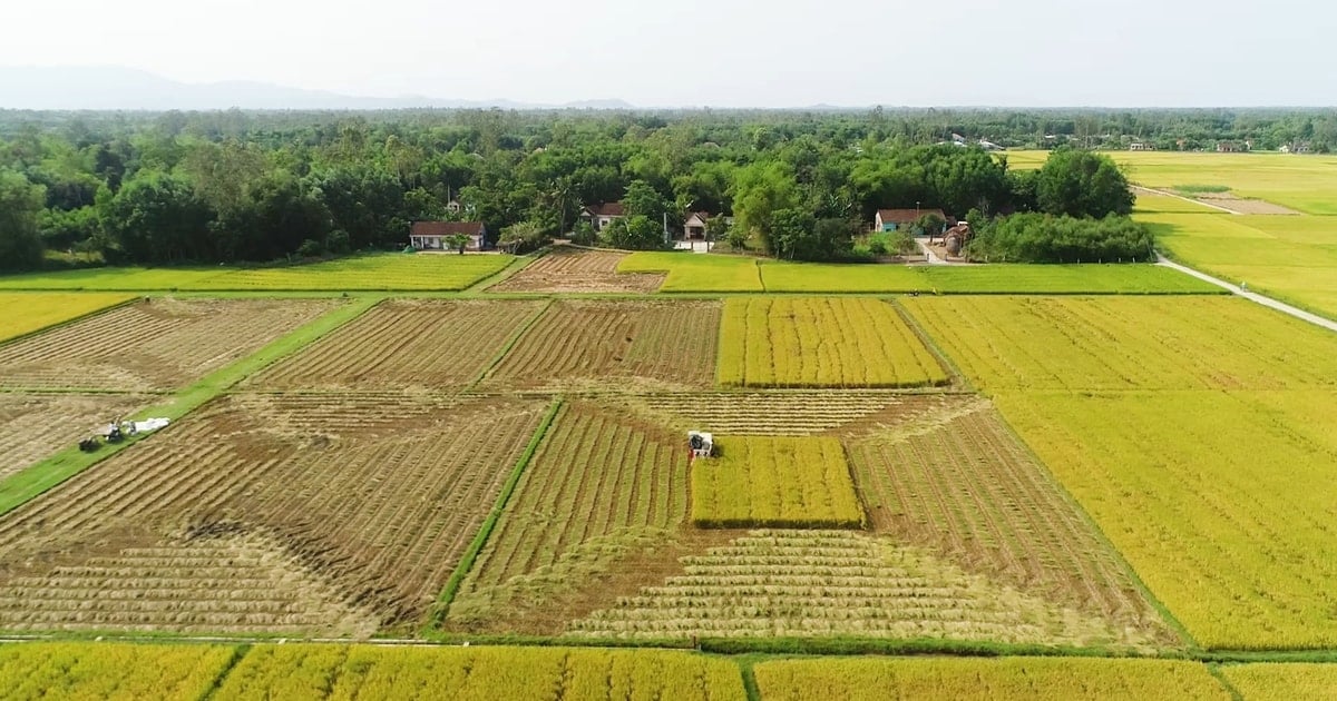 Thăng Bình thu hồi 635ha đất để thực hiện các dự án