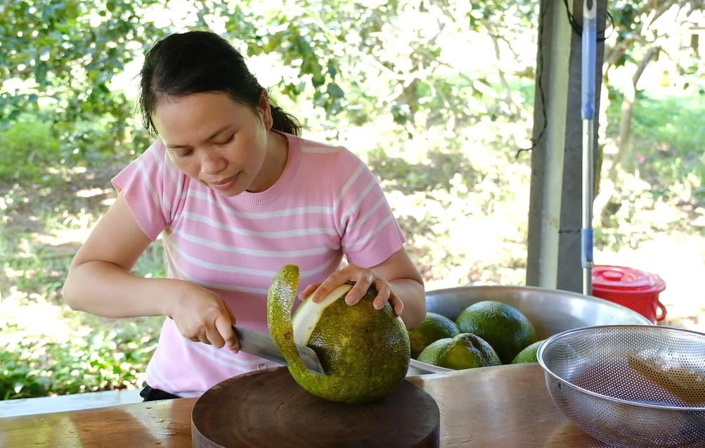 ເພື່ອເຮັດໃຫ້ນ້ໍາມັນທີ່ສໍາຄັນ, ປອກເປືອກ grapefruit ແມ່ນສ່ວນປະກອບທີ່ຕັດສິນ.