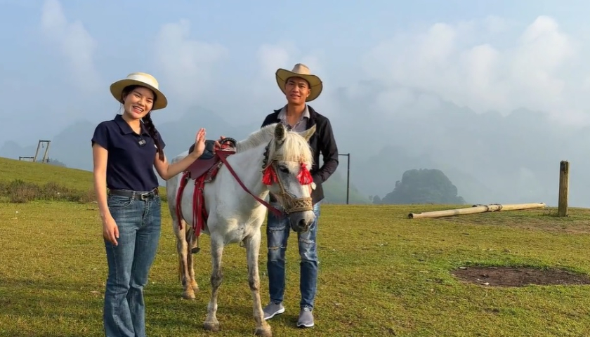 ナイタウ山頂で日の出を迎える競馬