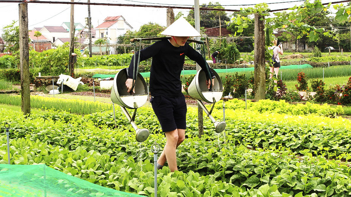 Learn how to water vegetables
