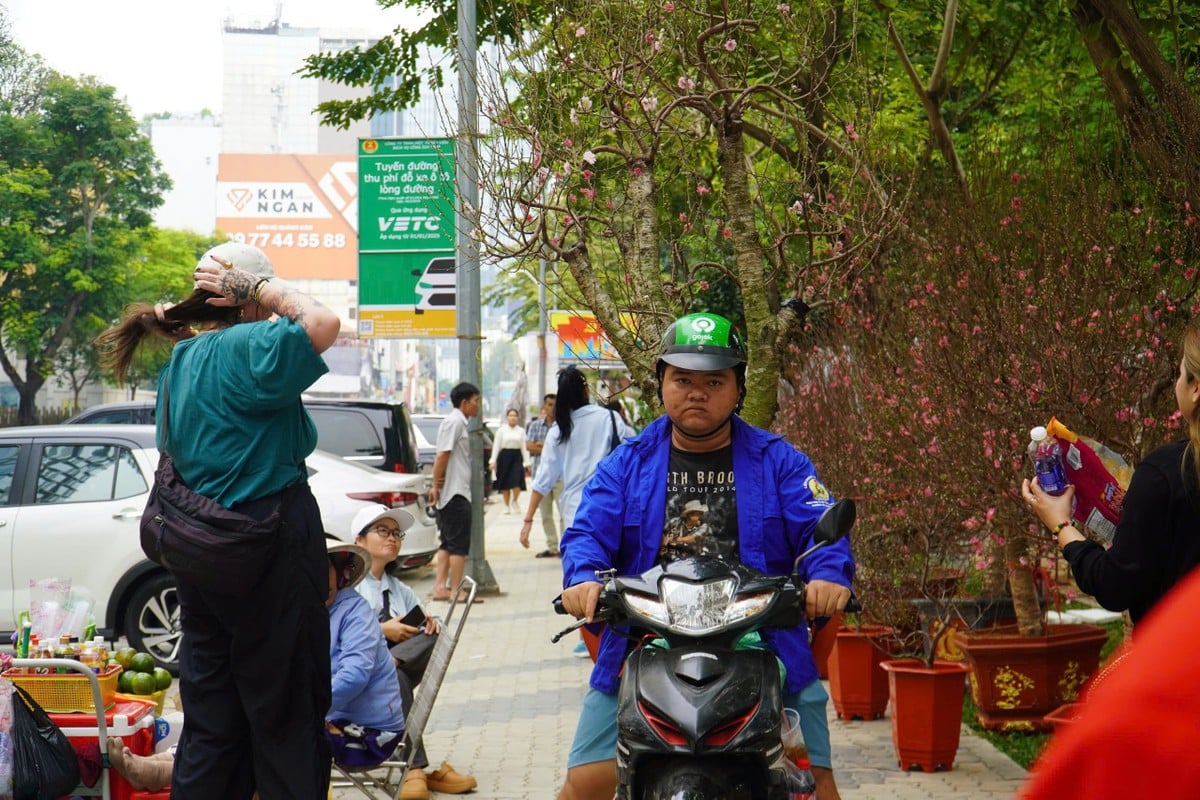 El antiguo melocotonero Son La, cuyo valor es de casi 100 millones de dólares, atrae a clientes en la ciudad de Ho Chi Minh. Foto 9