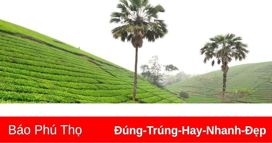 Phú Thọ thu hút 150 dự án đầu tư vào nông nghiệp