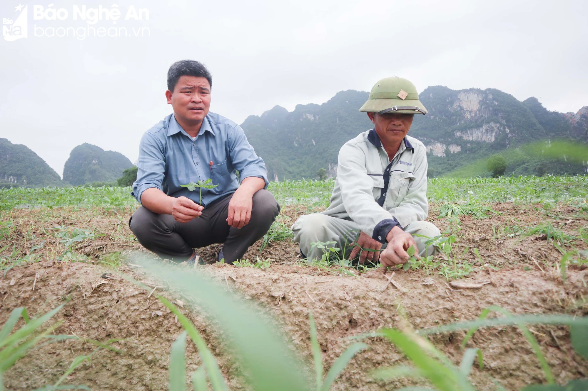bna_a Nhẩm.JPG